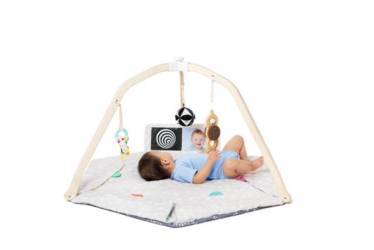 Lovevery Play Gym