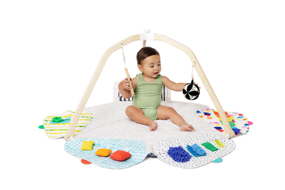 Lovevery Play Gym