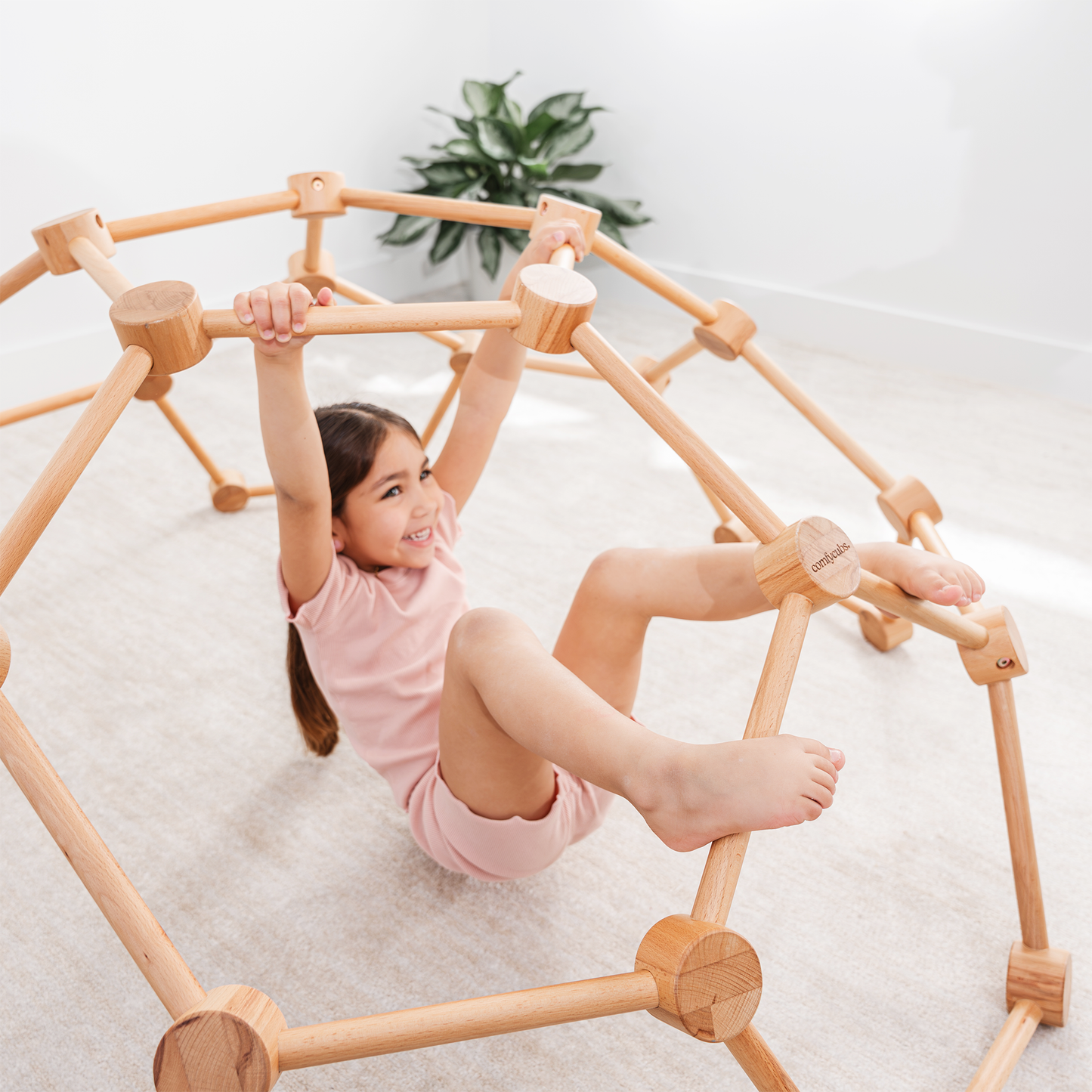 Wooden Climbing Dome