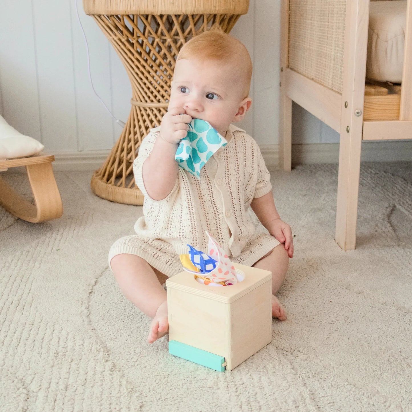 Tiny Land® Montessori Toys for Babies (4–6 Months)