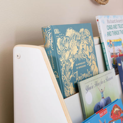 Book and Bin Display