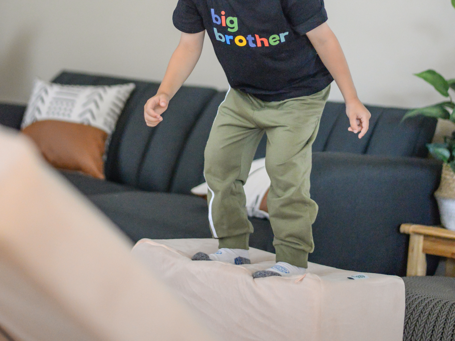 The Figgy Play Couch Expansion Pack
