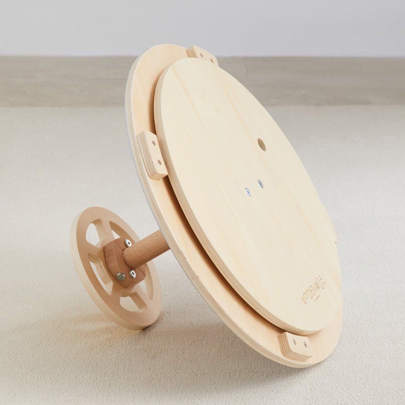 Round and Around Sit and Spin Toy